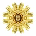 Pale Yellow Gerbera Daisy I Flower Mandala White